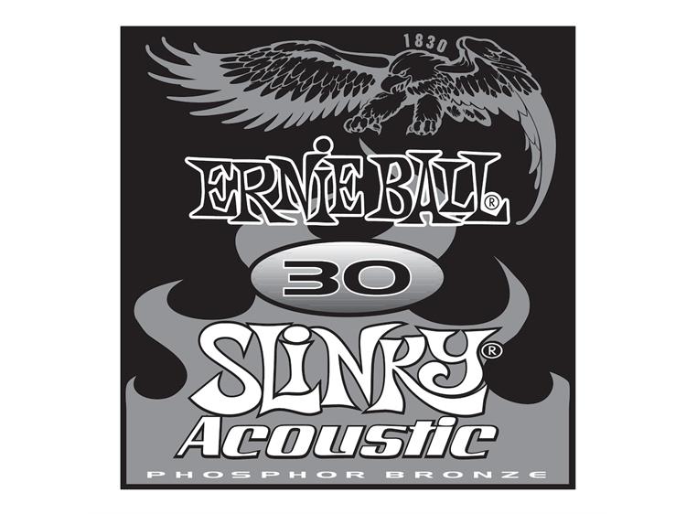 Ernie Ball EB-1830